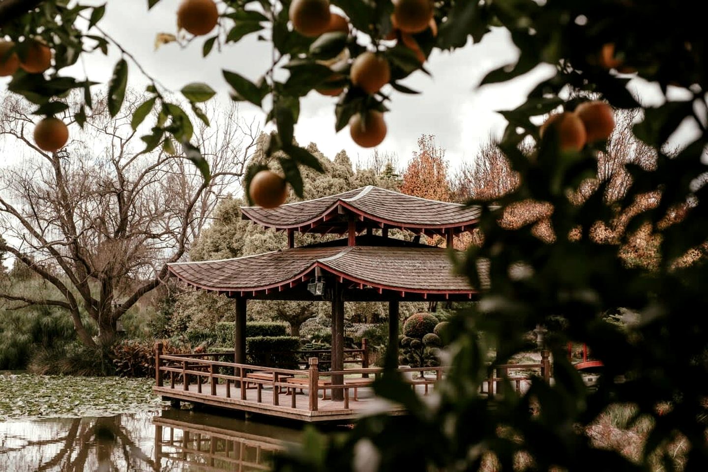 Peaceful Tiny House Rental Ideal for NSW Glamping
