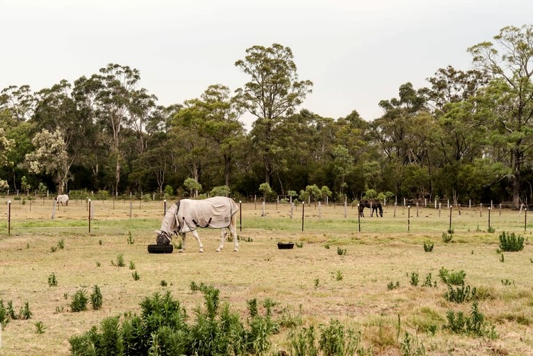 Tiny Houses (Australia, Cessnock, New South Wales)