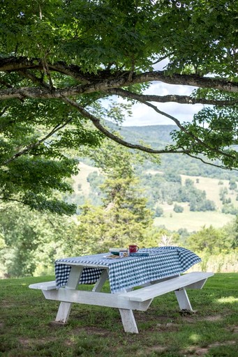 Tiny Houses (United States of America, Seneca Rocks, West Virginia)
