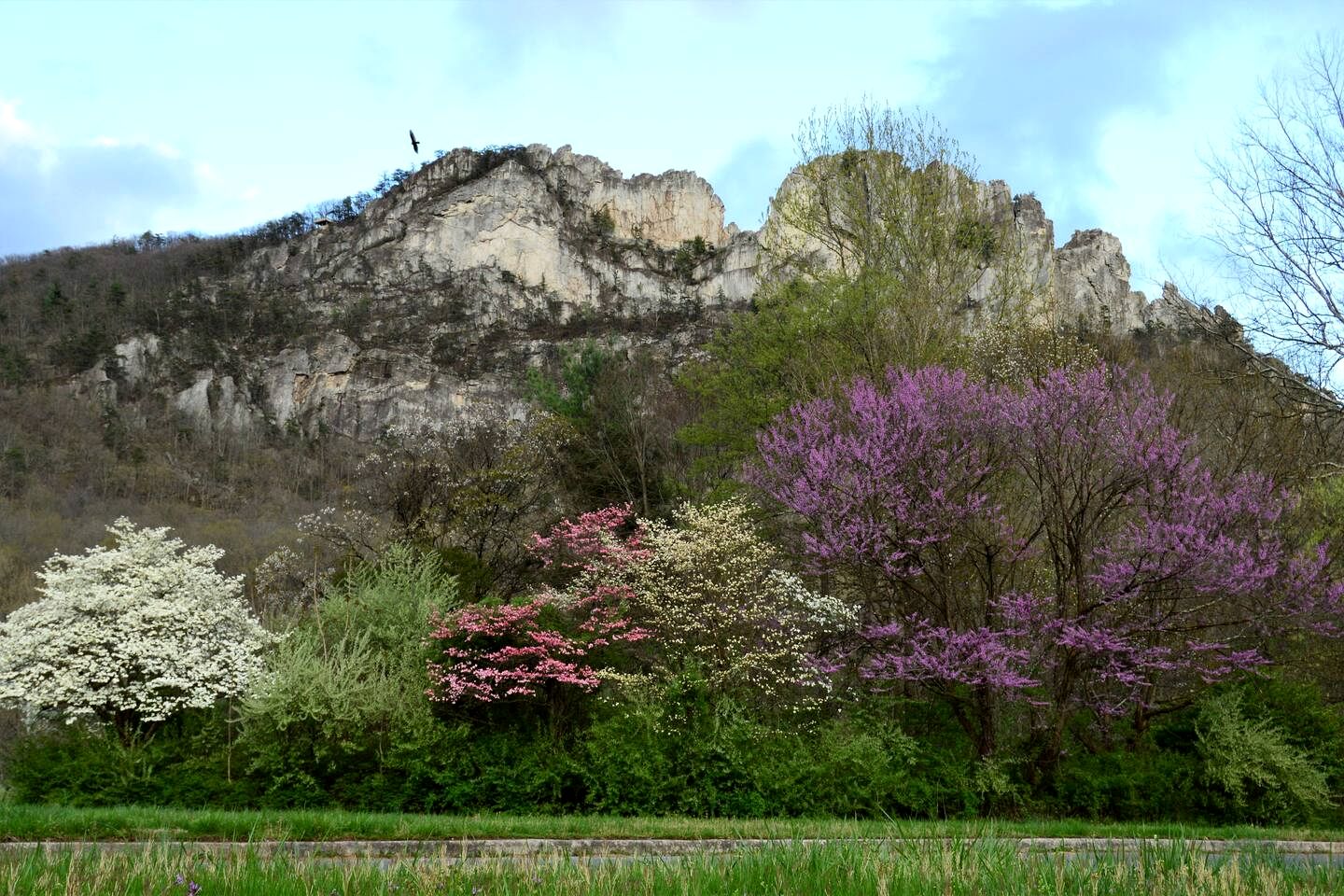 Peaceful Tiny House in the Mountains near Seneca Rocks, West Virginia