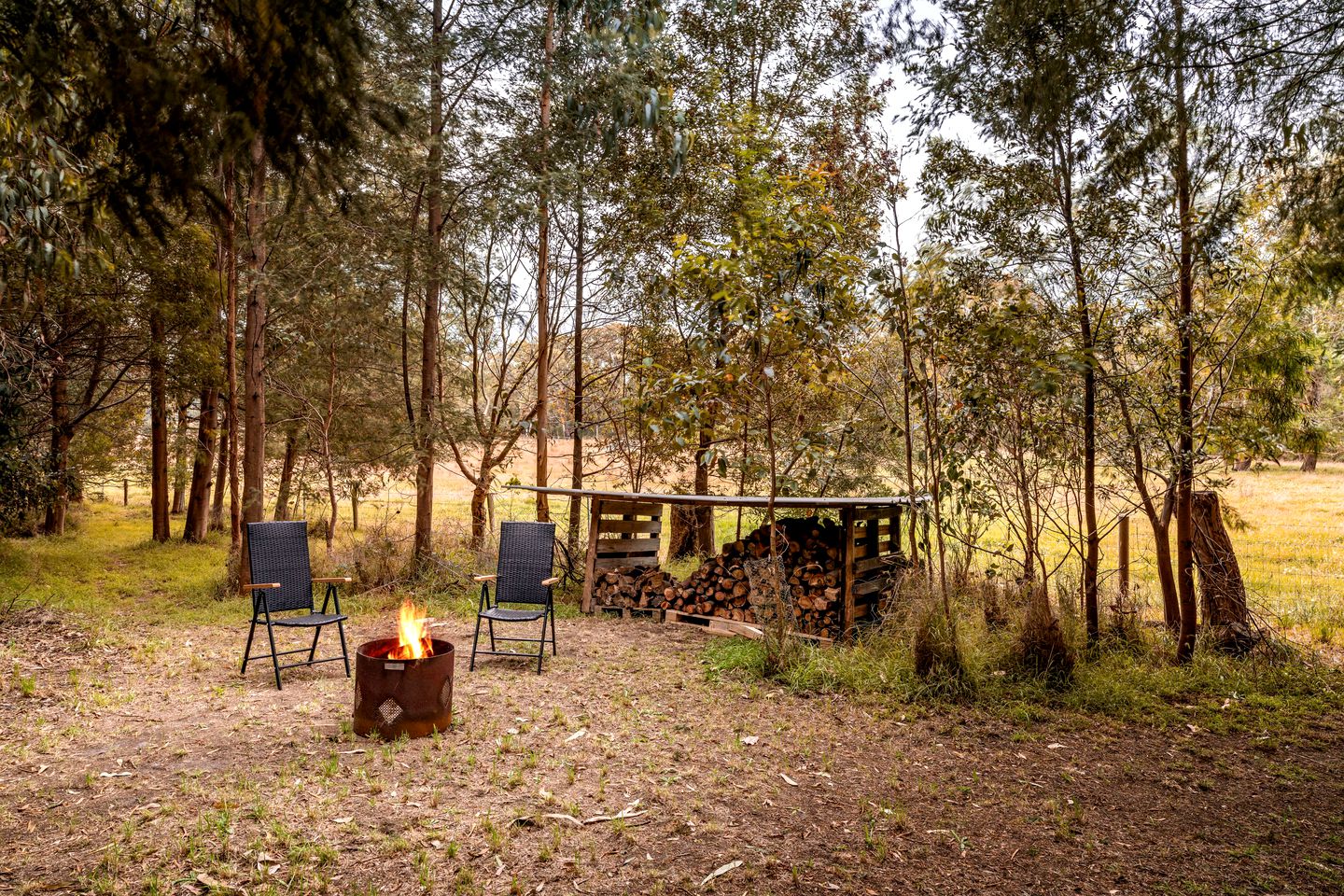 Tiny House Retreat with Countryside Views in Buffalo, Victoria