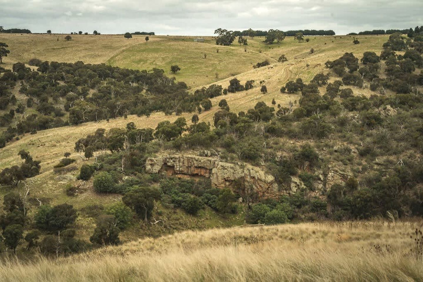 Tiny House Situated on a Brilliant Victoria Goat Farm