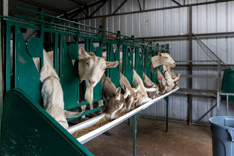 Vacation Rentals (Australia, Monegeetta, Victoria)