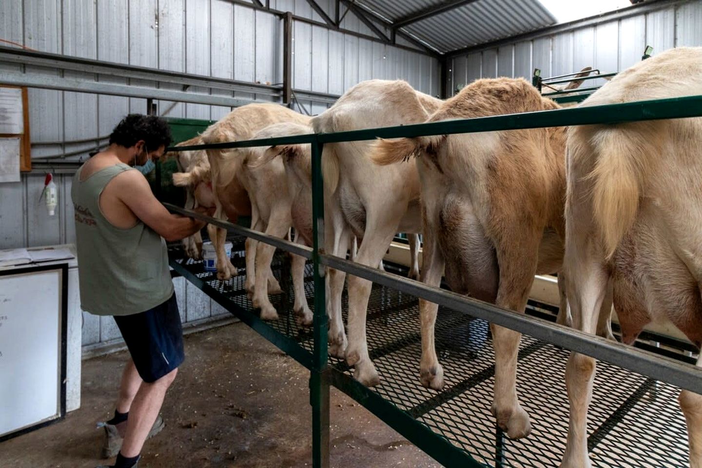 Tiny House Situated on a Brilliant Victoria Goat Farm