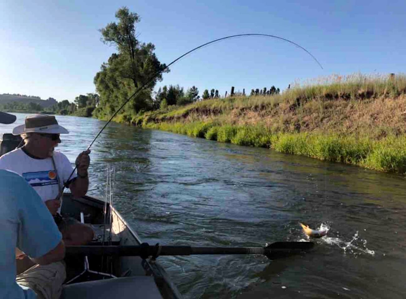 Stylish Tiny House Vacation Rental in Swan Valley, ID near Jackson Hole