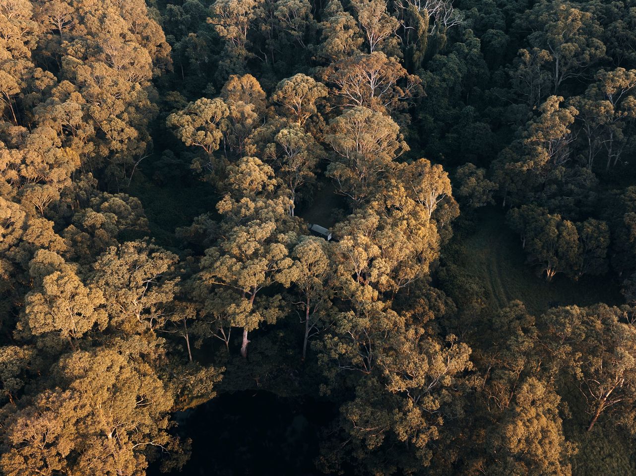 Secluded Tiny Home Overlooking Vineyards near Shoalhaven Wine Region, New South Wales
