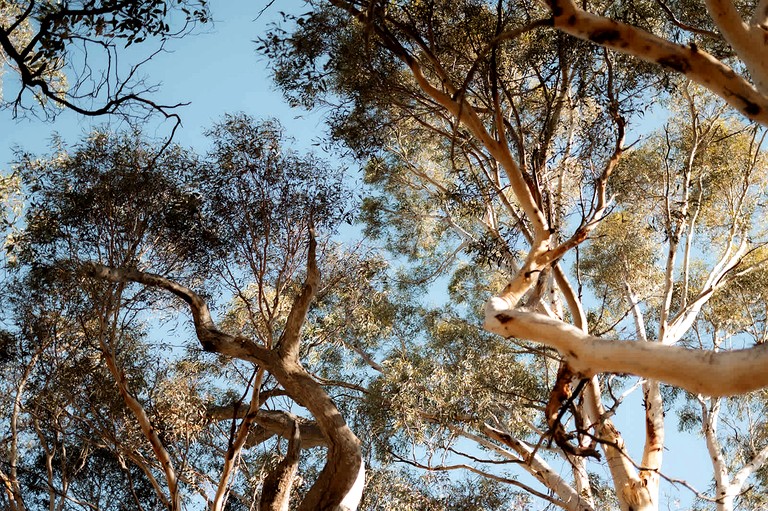 Tiny Houses (Australia, --, Western Australia)