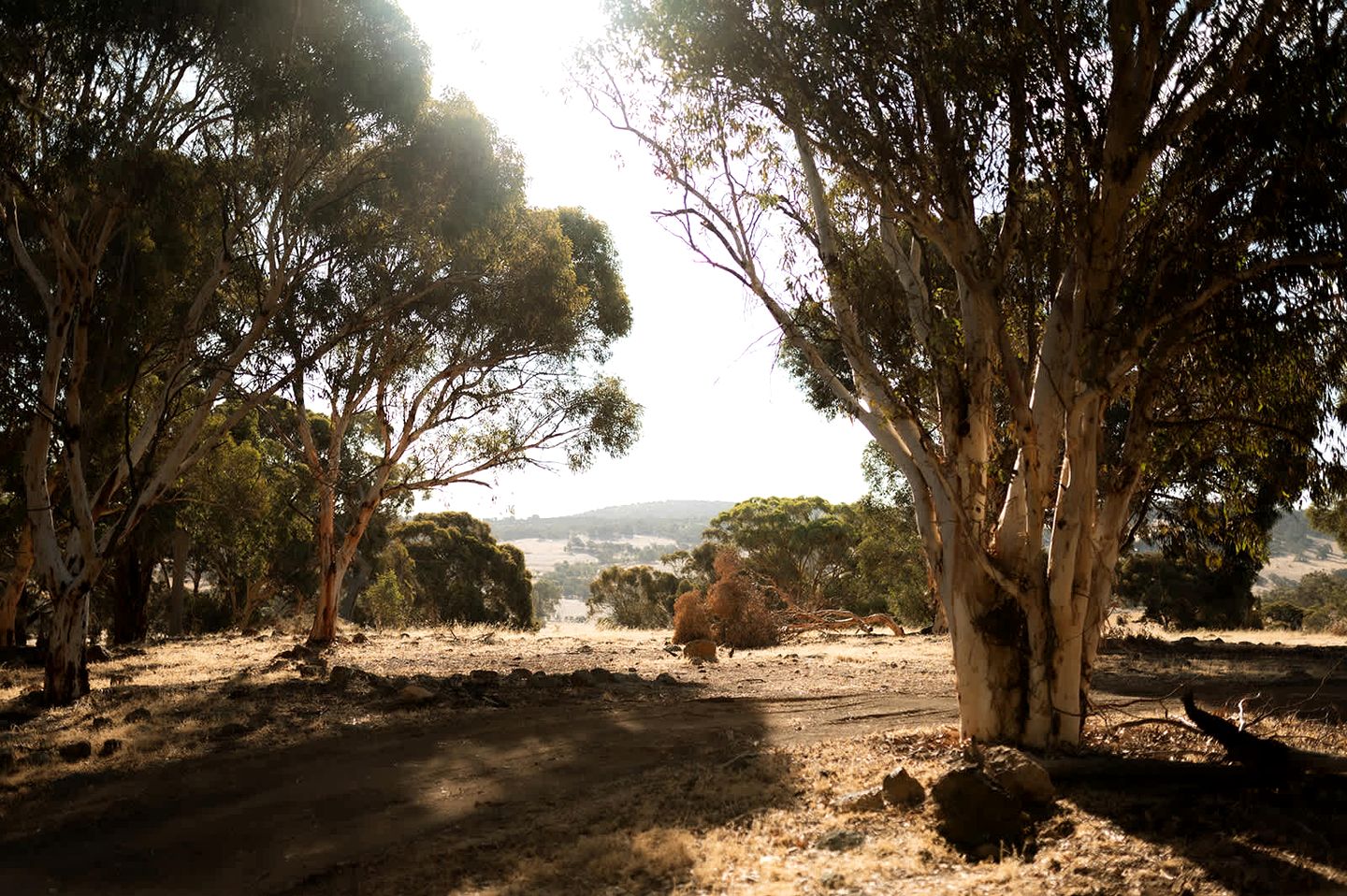 Secluded Tiny Home with Outdoor Bath near Perth in Toodyay, WA