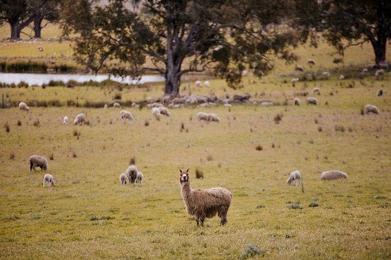 Tiny Houses (Australia, Rylstone, New South Wales)