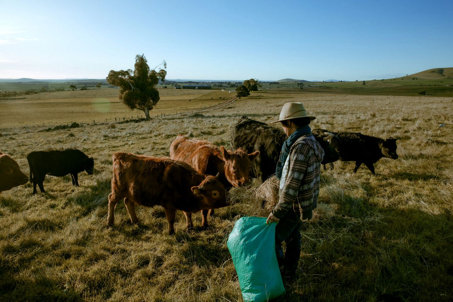 Pet Friendly Farm Stay Glamping in a Victoria Tiny Home