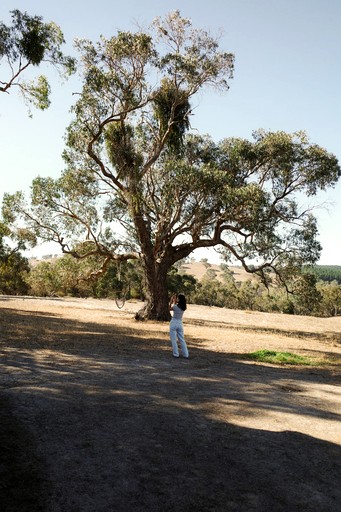 Tiny Houses (Australia, Springton, South Australia)