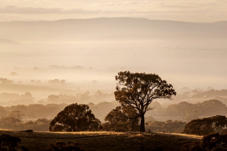 Tiny Houses (Australia, Duramana, New South Wales)