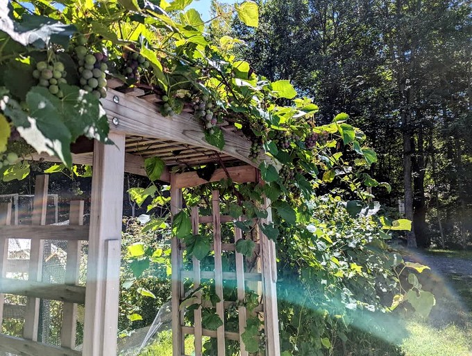 Vacation Rentals (United States of America, --, Maine)