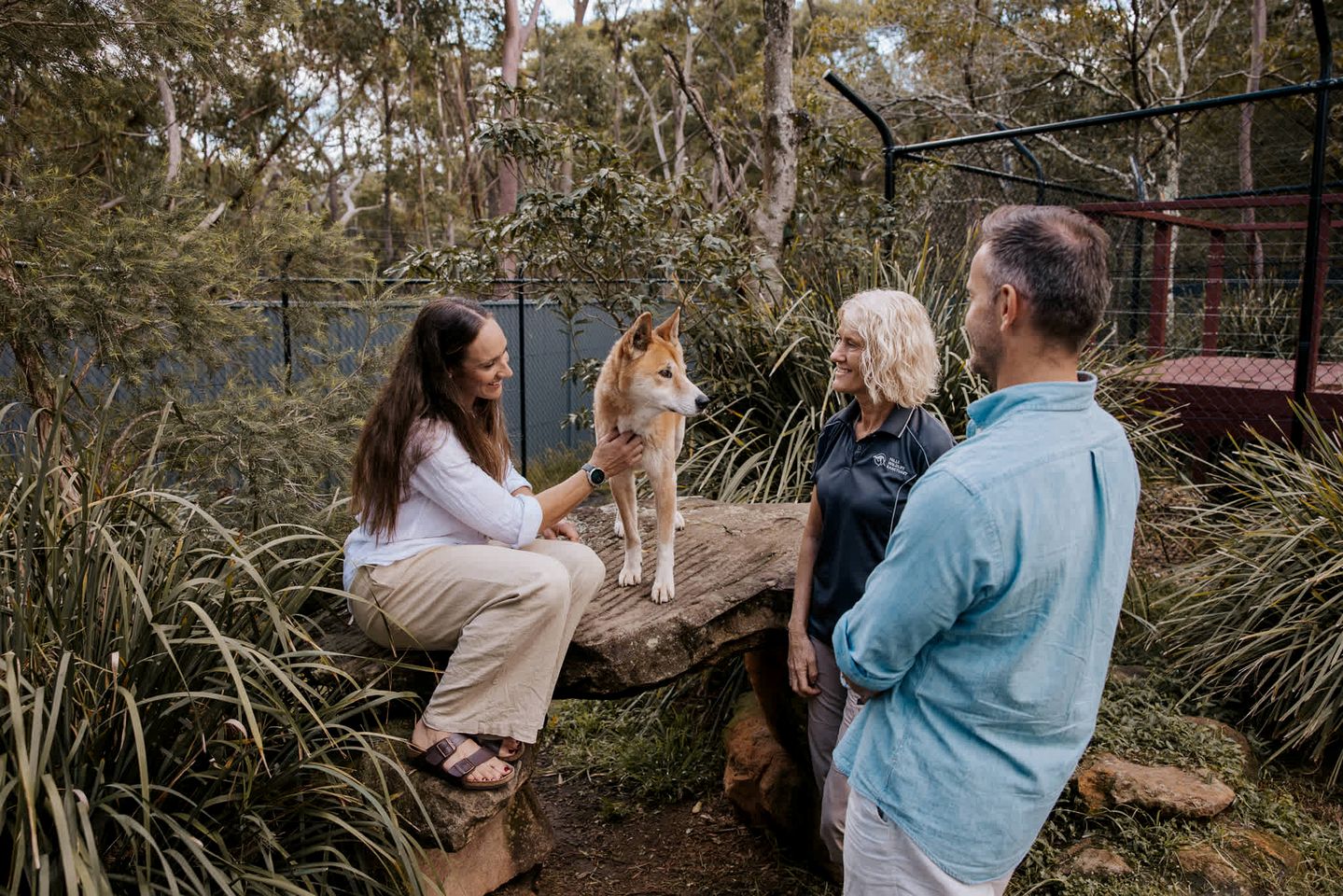 Secluded Tiny Home with Wildlife Sanctuary Experience near Berowra, New South Wales