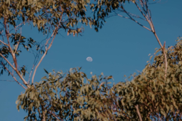 Tiny Houses (Australia, --, New South Wales)