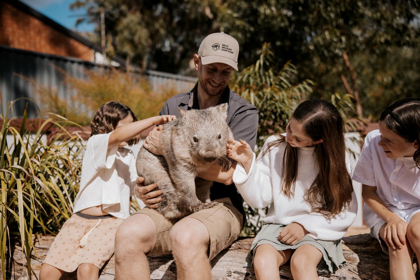 Magical Tiny Home Stay with Wildlife Encounters near Berowra, New South Wales