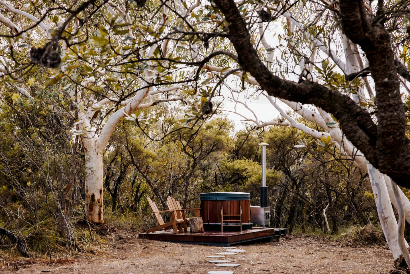 Magical Tiny Home Stay with Wildlife Encounters near Berowra, New South Wales