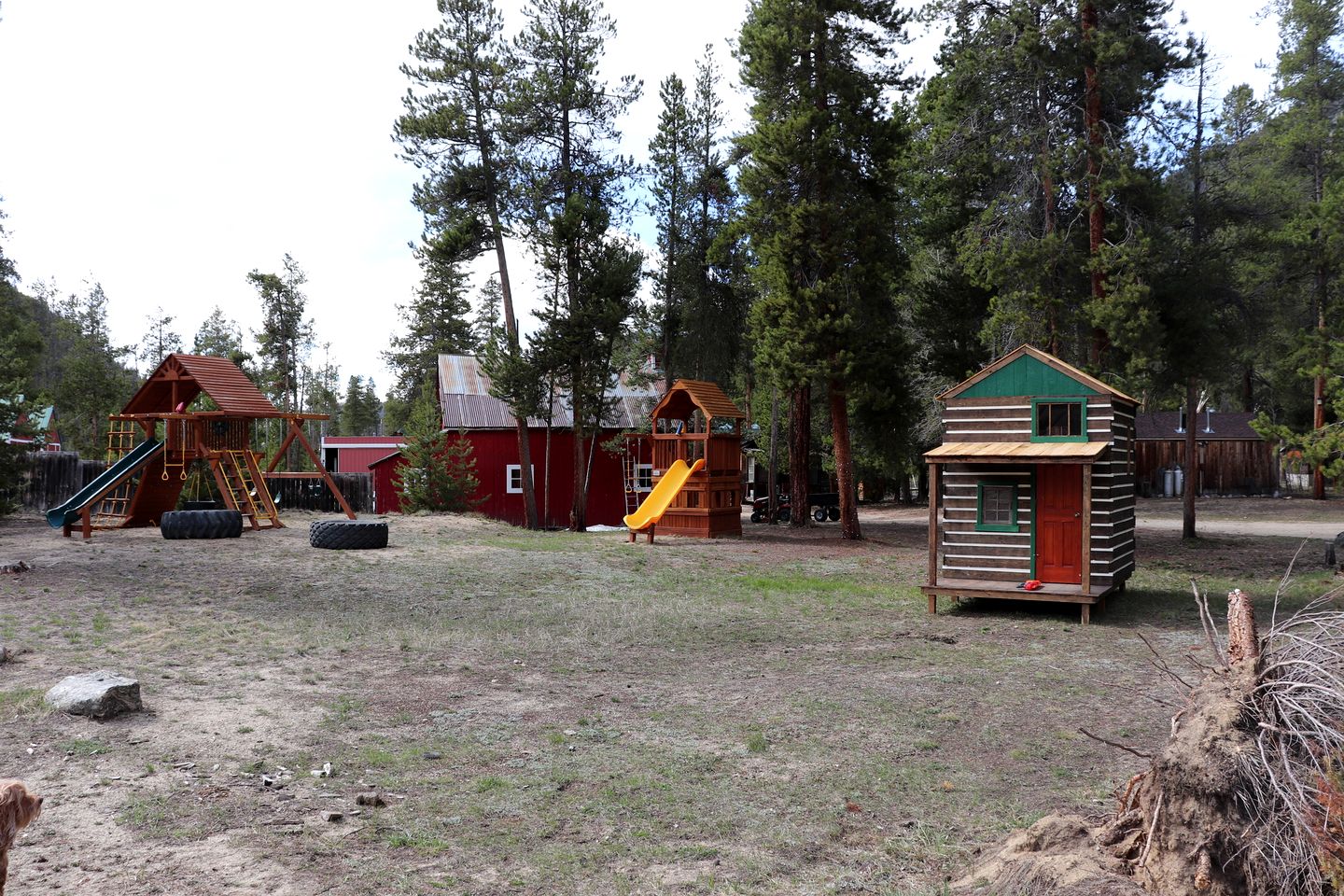 Tipi 4