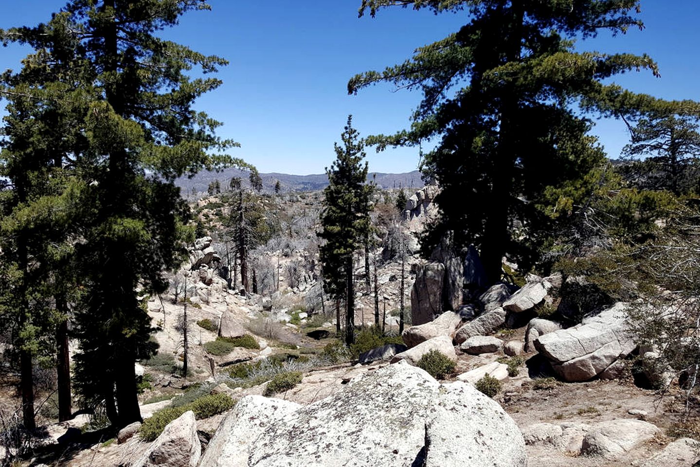 Large Group Getaway Cabins by Green Valley Lake near San Bernardino, California