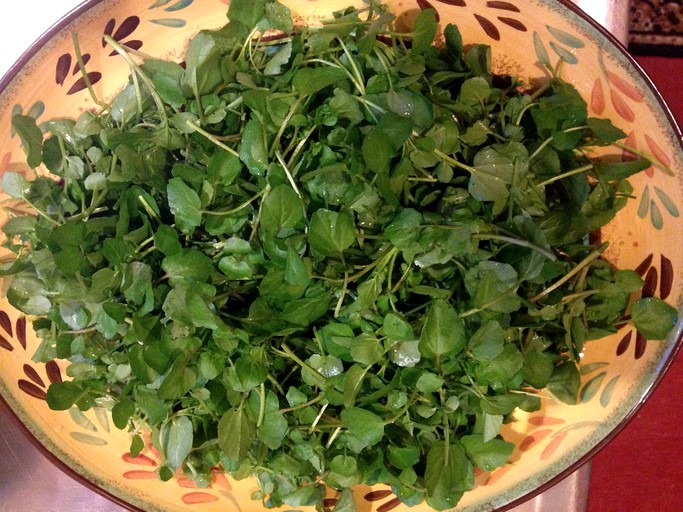 Cabins (Te Rawa, South Island, New Zealand)