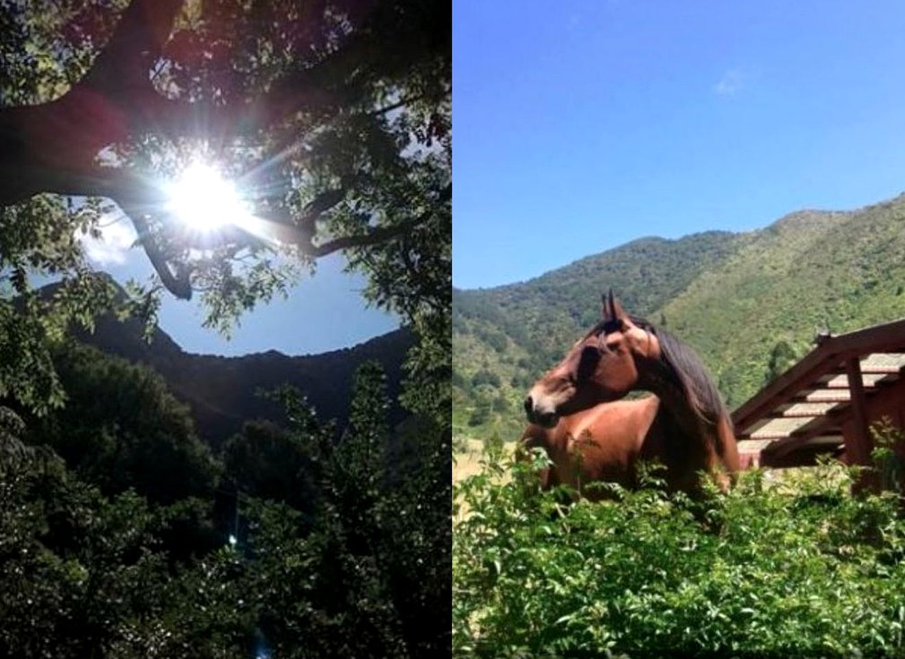 Romantic Chalet Rental in North West Bay, Pelorus Sound, New Zealand