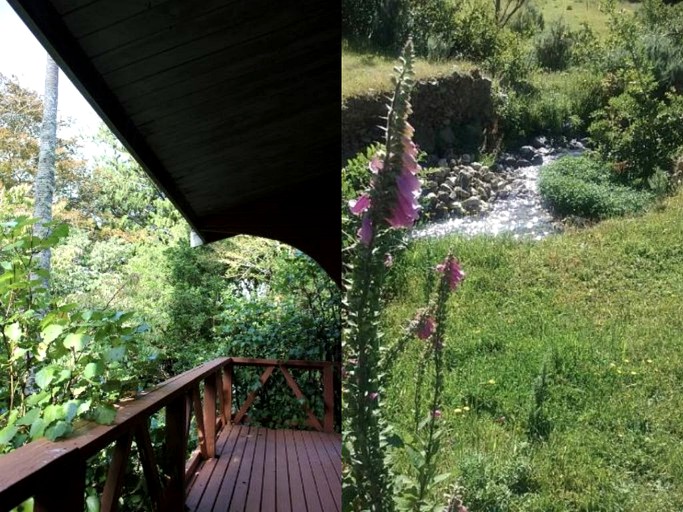 Cabins (Te Rawa, South Island, New Zealand)