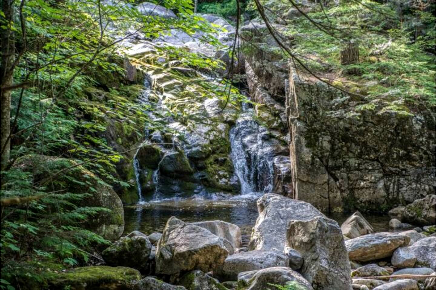 Treehouse-Style Tent Rental in the White Mountain National Forest of New Hampshire
