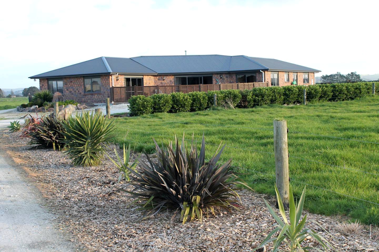 Charming Suite Rental on a Rural Working Farm near Dargaville, North Island