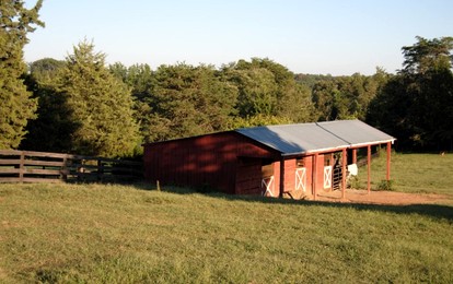 One-Bedroom, One-Bathroom Cottage Rental on a 250-Acre Cattle Farm near Appalachian Trail photo 4