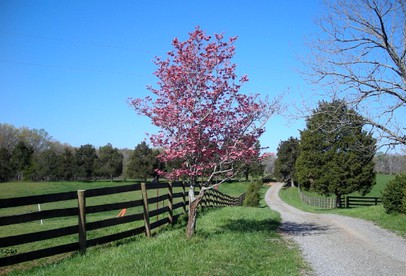 One-Bedroom, One-Bathroom Cottage Rental on a 250-Acre Cattle Farm near Appalachian Trail photo 3