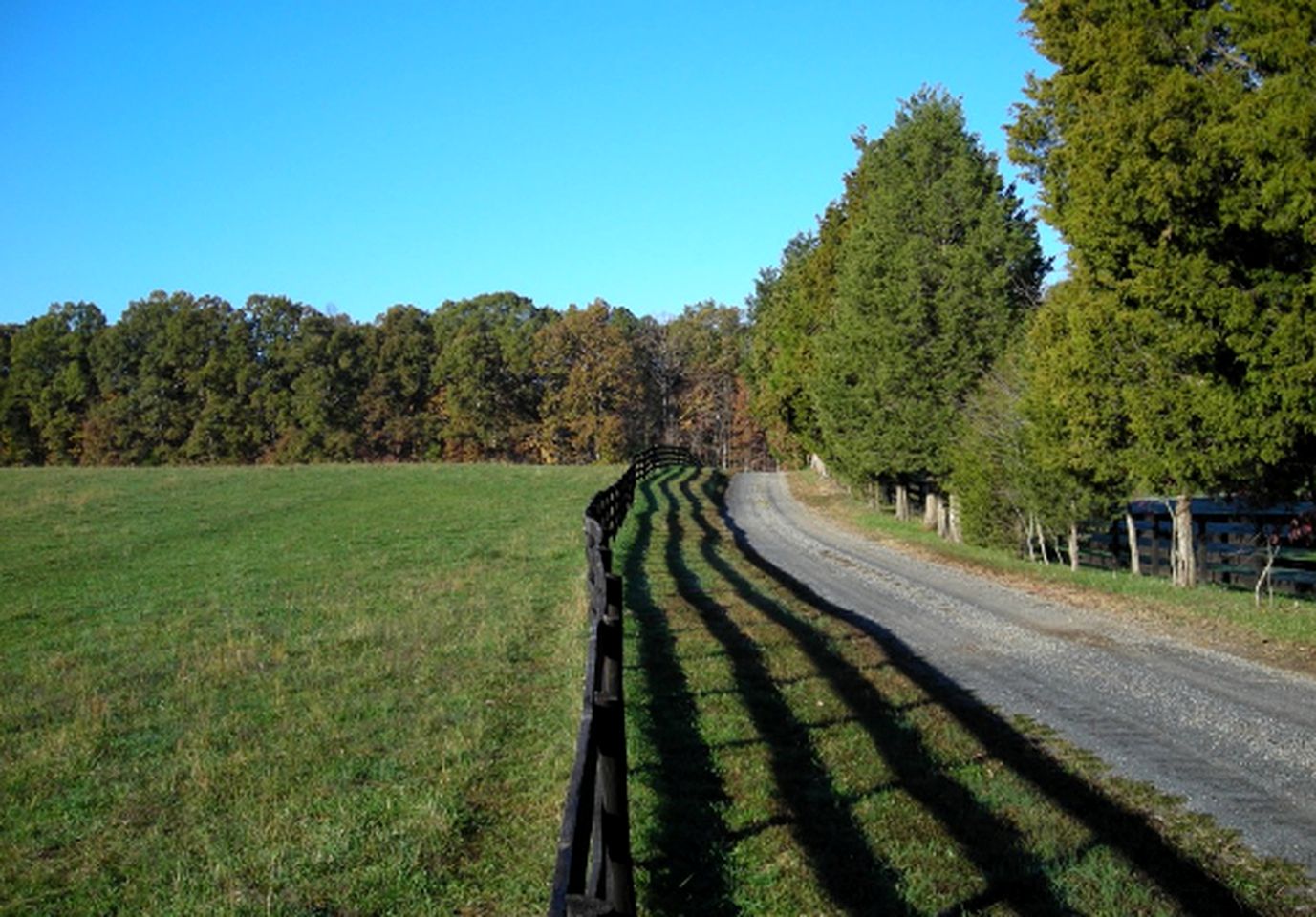 One-Bedroom, One-Bathroom Cottage Rental on a 250-Acre Cattle Farm near Appalachian Trail