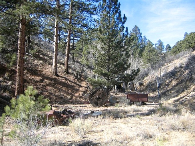 Cabins (Buena Vista, Colorado, United States)