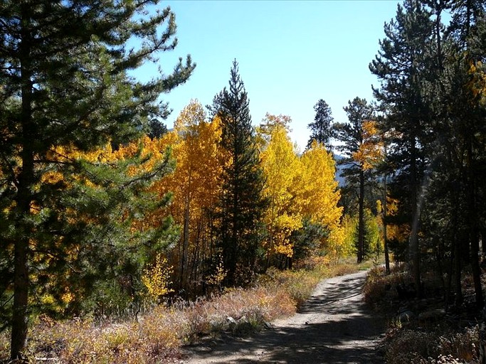 Cabins (Buena Vista, Colorado, United States)