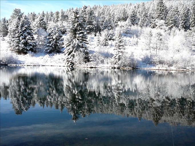 Cabins (Buena Vista, Colorado, United States)