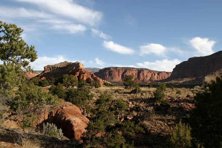 Cabins (Torrey, Utah, United States)