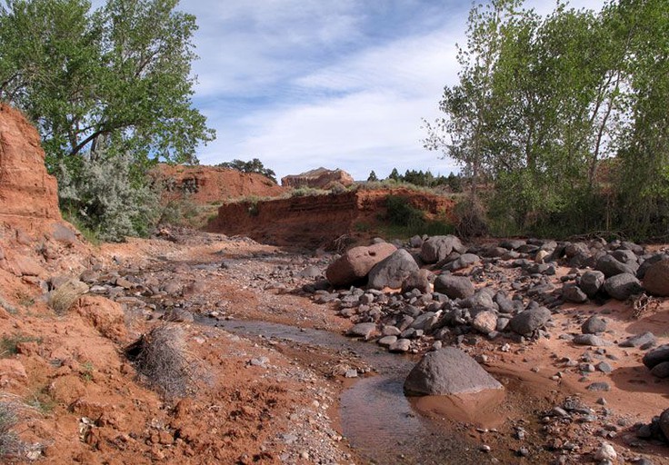 Cabins (Torrey, Utah, United States)