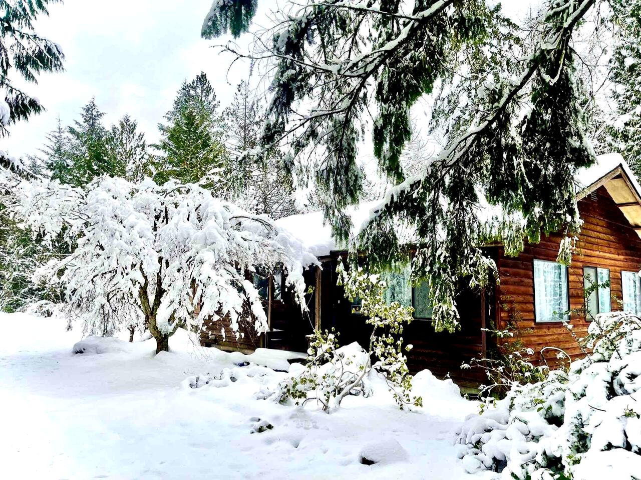Cozy Cabin with Fire Pit near Lake Cushman, Perfect for a Glamping Retreat to the Pacific Northwest
