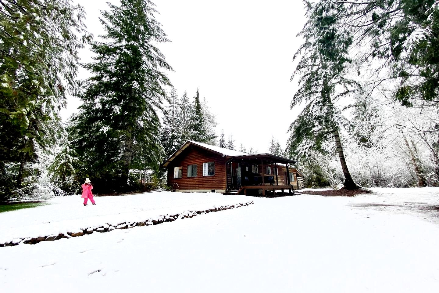 Cozy Cabin with Fire Pit near Lake Cushman, Perfect for a Glamping Retreat to the Pacific Northwest