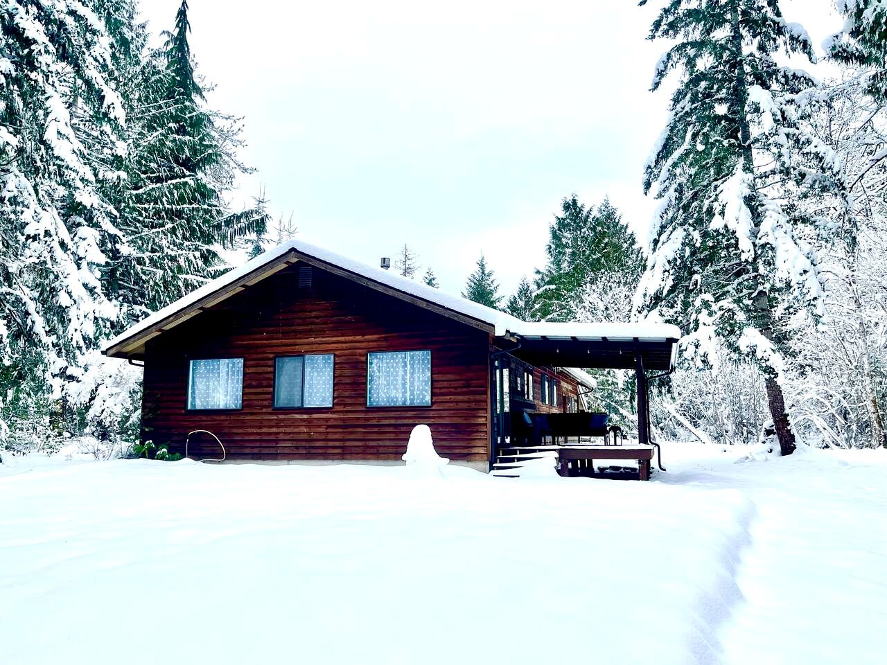 Cozy Cabin with Fire Pit near Lake Cushman, Perfect for a Glamping Retreat to the Pacific Northwest