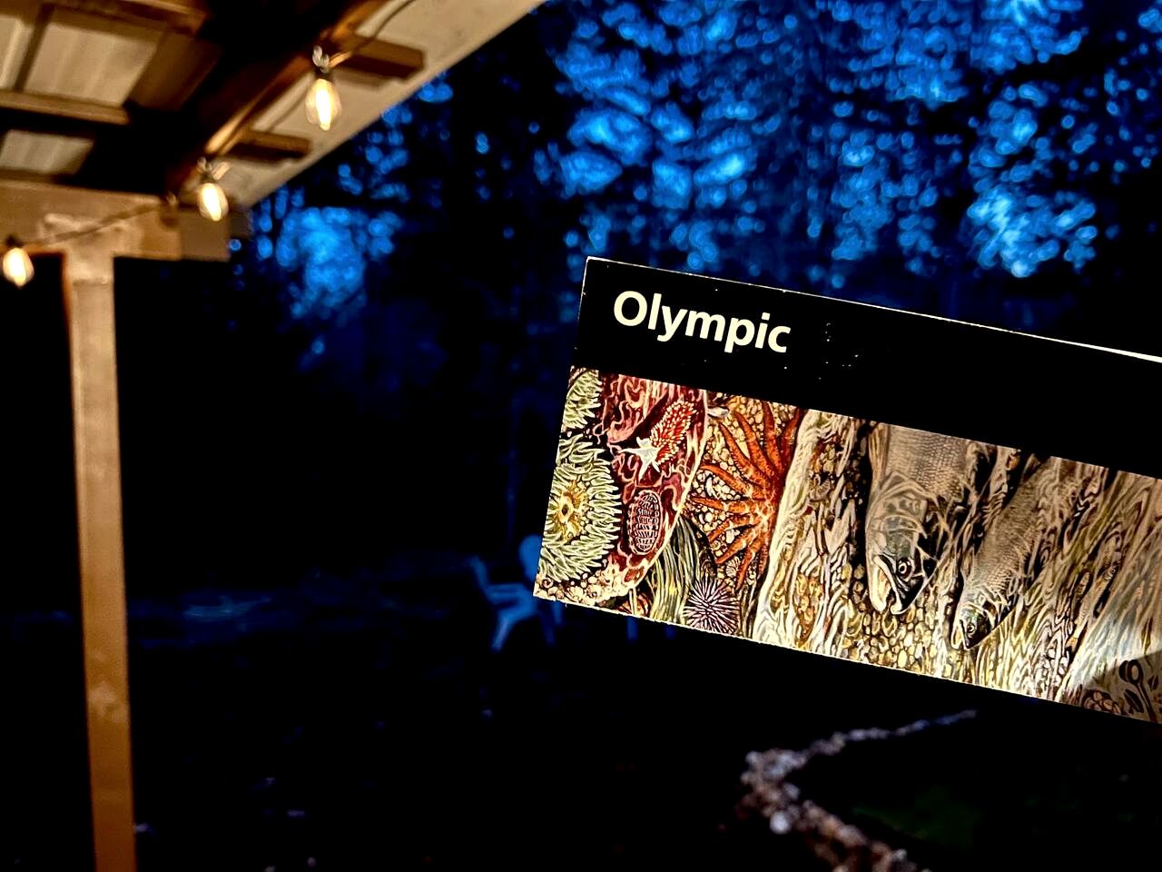 Cozy Cabin with Fire Pit near Lake Cushman, Perfect for a Glamping Retreat to the Pacific Northwest