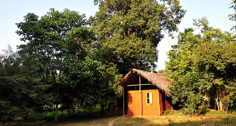 Tree Houses (Sigiriya, Central Province, Sri Lanka)