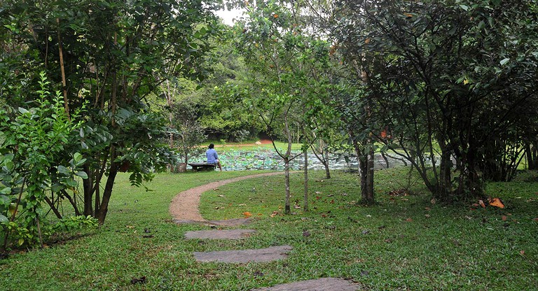 Tree Houses (Sigiriya, Central Province, Sri Lanka)