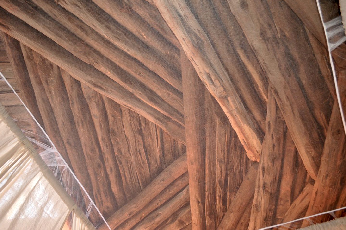 Authentic Navajo Dome Stay with Cultural Experiences near Monument Valley, Utah