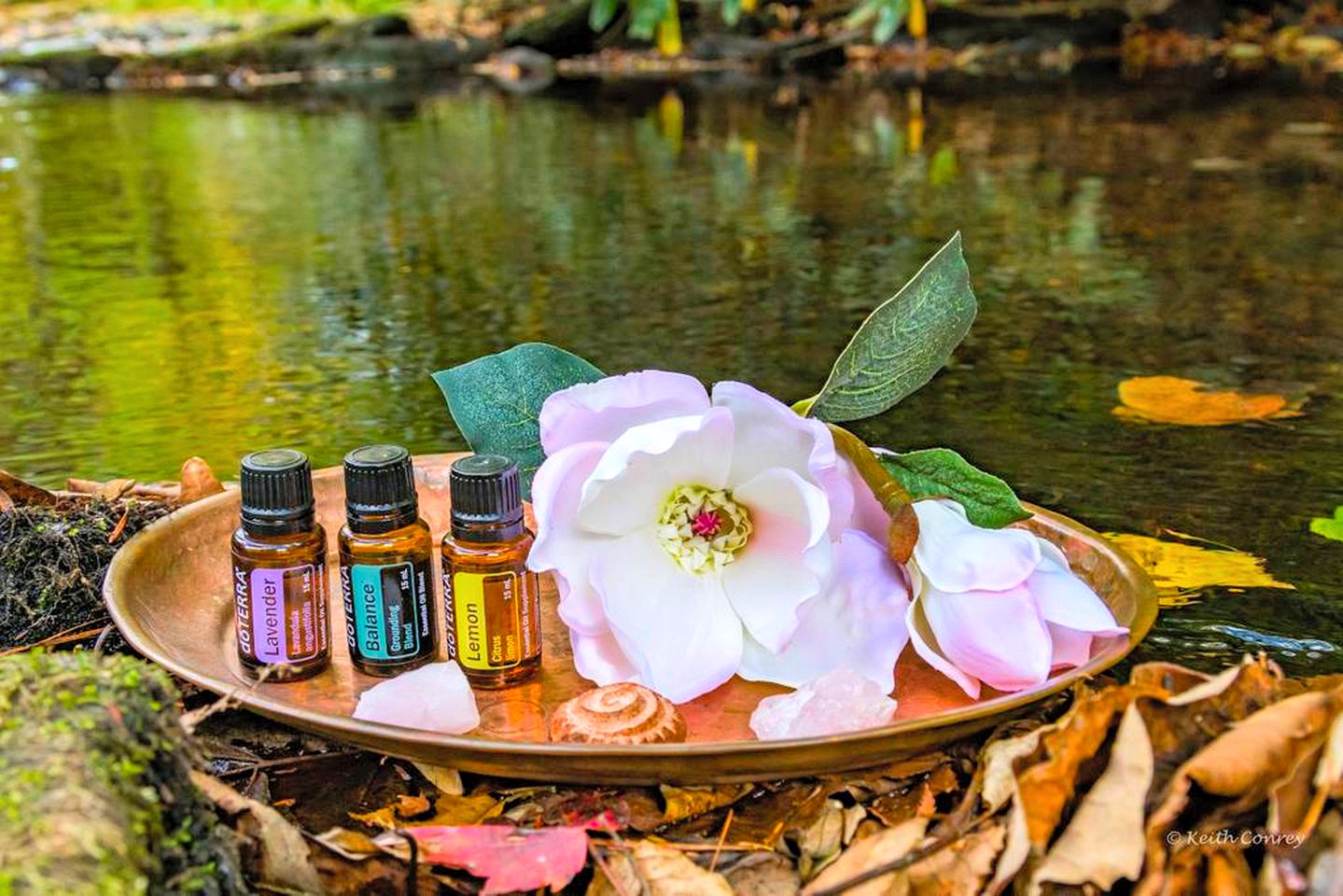 Traditional Wooden Cabin Rental in the Poconos, Pennsylvania