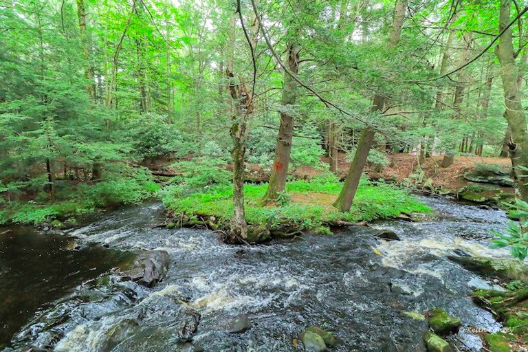 Cabins (Canadensis, Pennsylvania, United States)