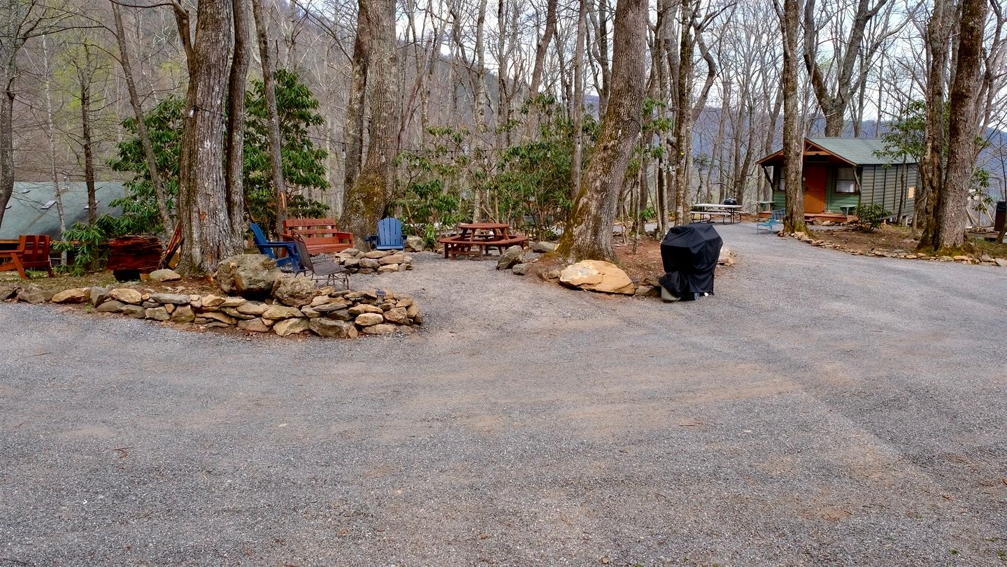 Private Mountain Sanctuary Cabin Surrounded by Protected Forest in Black Mountain, North Carolina