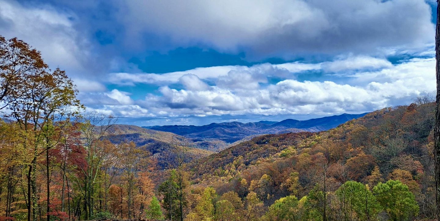 Private Mountain Sanctuary Cabin Surrounded by Protected Forest in Black Mountain, North Carolina