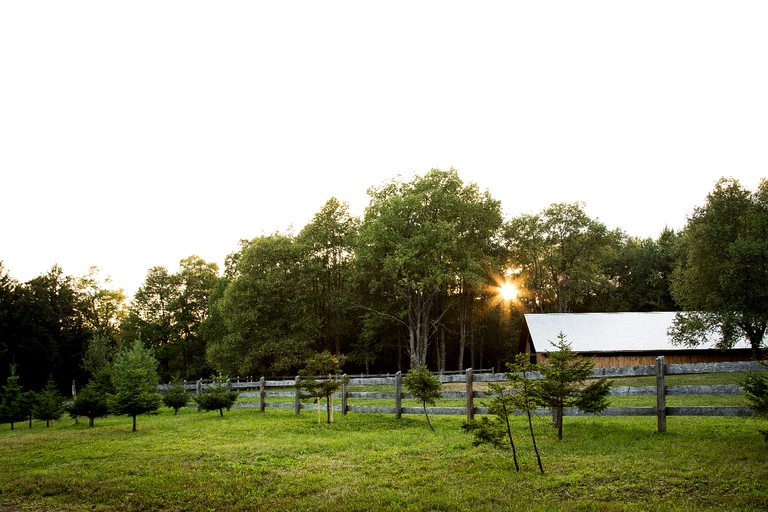 Cabins (Brantingham, New York, United States)