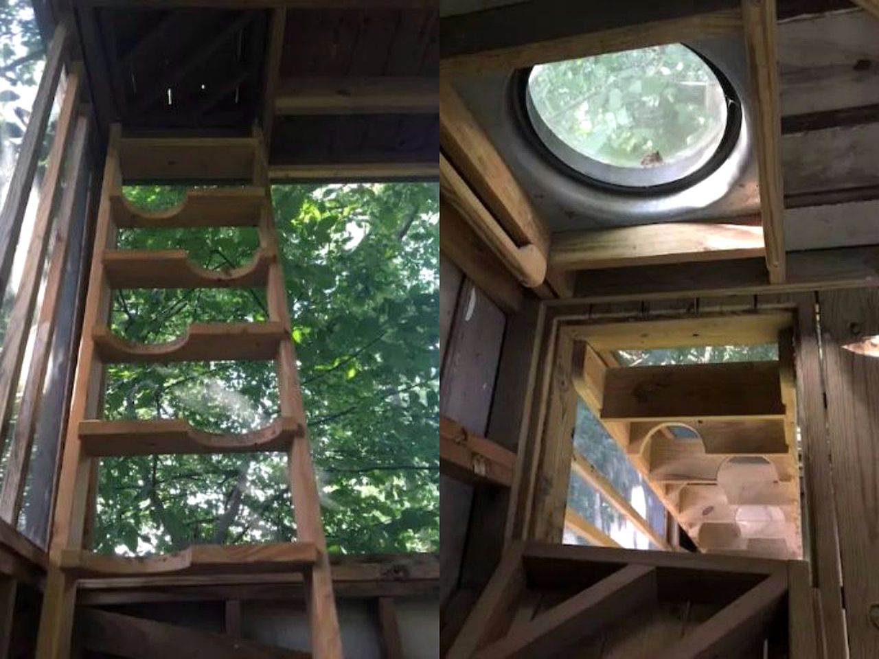 Tree Houses for Rent in Virginia Richmond, Virginia House Rental