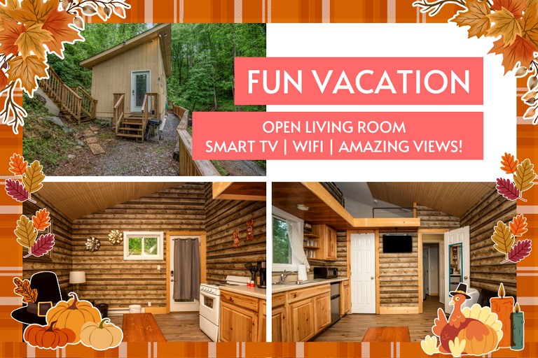 Cabins (United States of America, Gatlinburg, Tennessee)